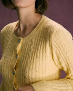 The Yellow Round Neck Cable Ribbed Cardigan -Outlet Dress Mix Up Store the round neck cable pointelle cardigan tops bd4uhs